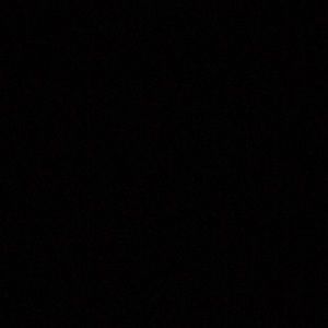 Meet your Posher, Payton